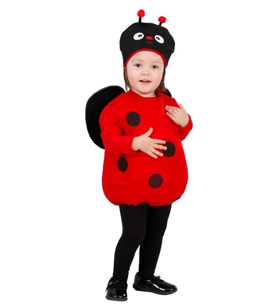 Coccinelle