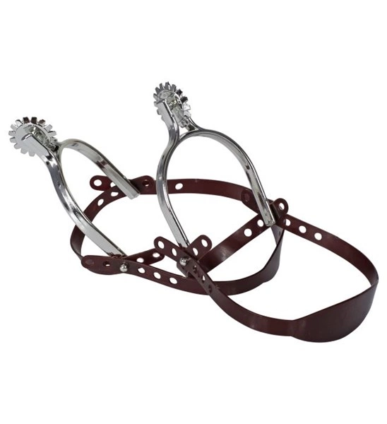 paire d' "EPERONS ARGENT"