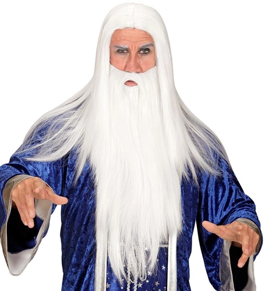 "PERRUQUE DE MAGICIEN AVEC BARBE" en boite