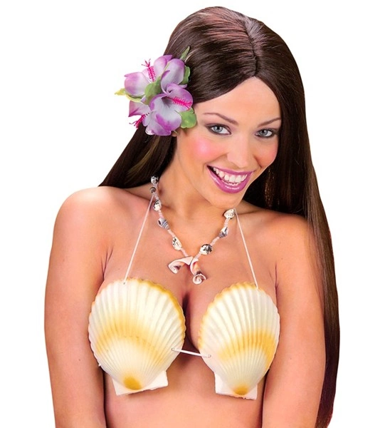 "SOUTIEN GORGE COQUILLAGE"