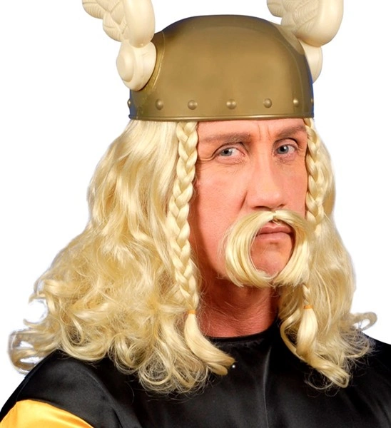 "PERRUQUE GAULOIS AVEC MOUSTACHE" en boÎte